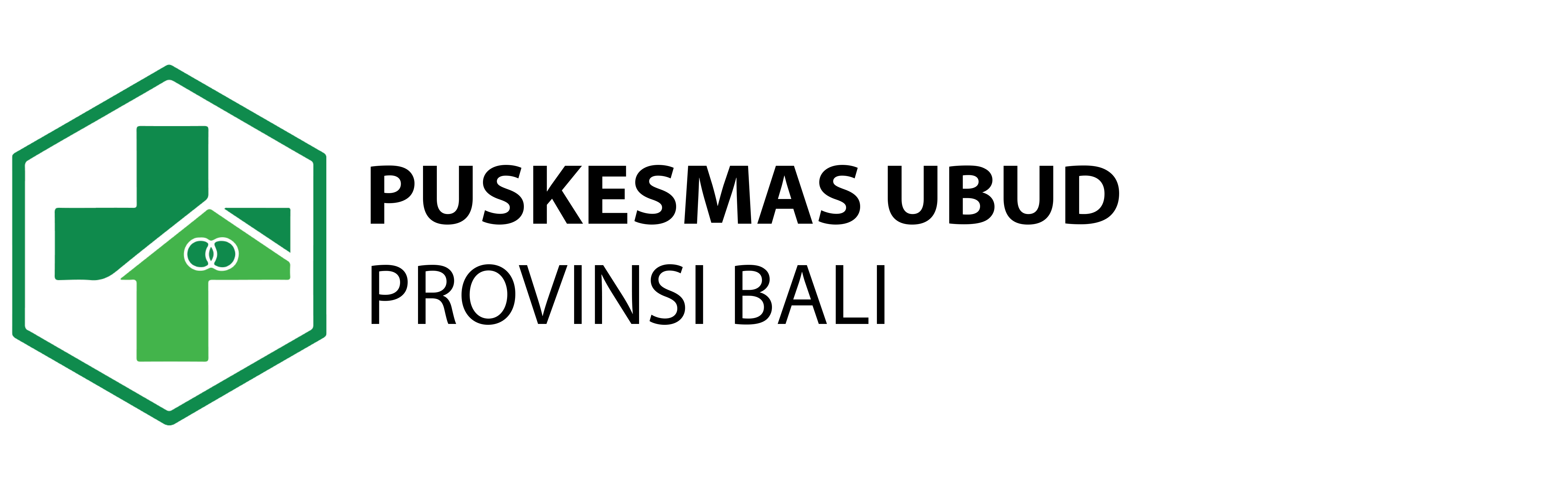 Logo Puskesmas